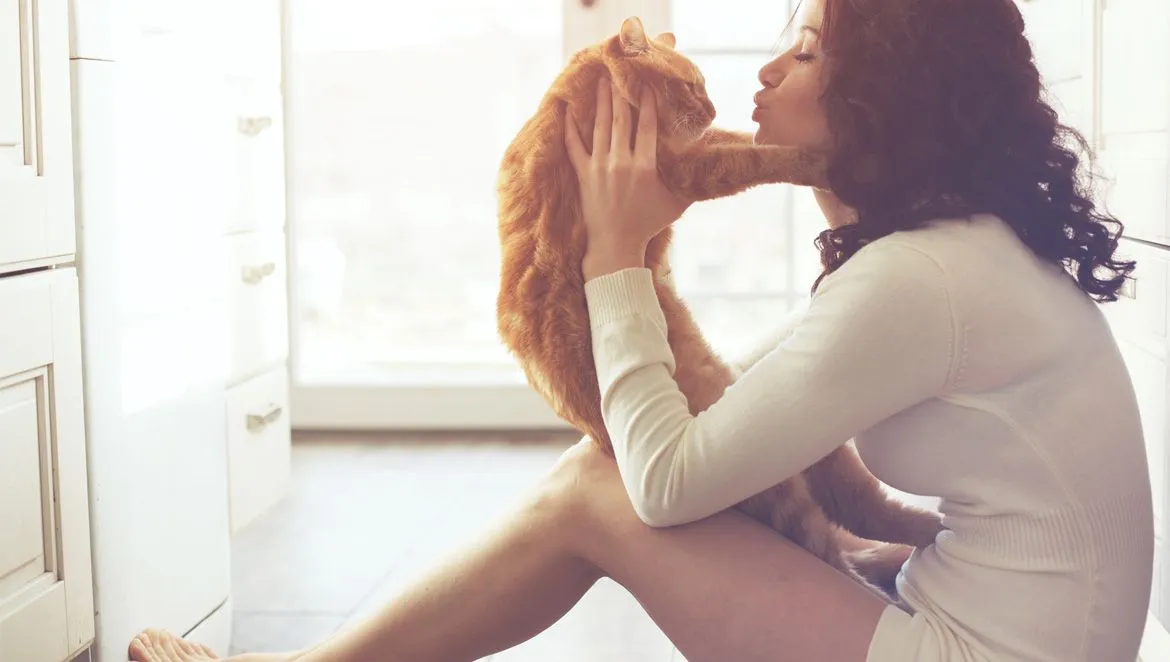 A person warmly holding an orange cat — companion animal care at Minnesota Veterinary Associates